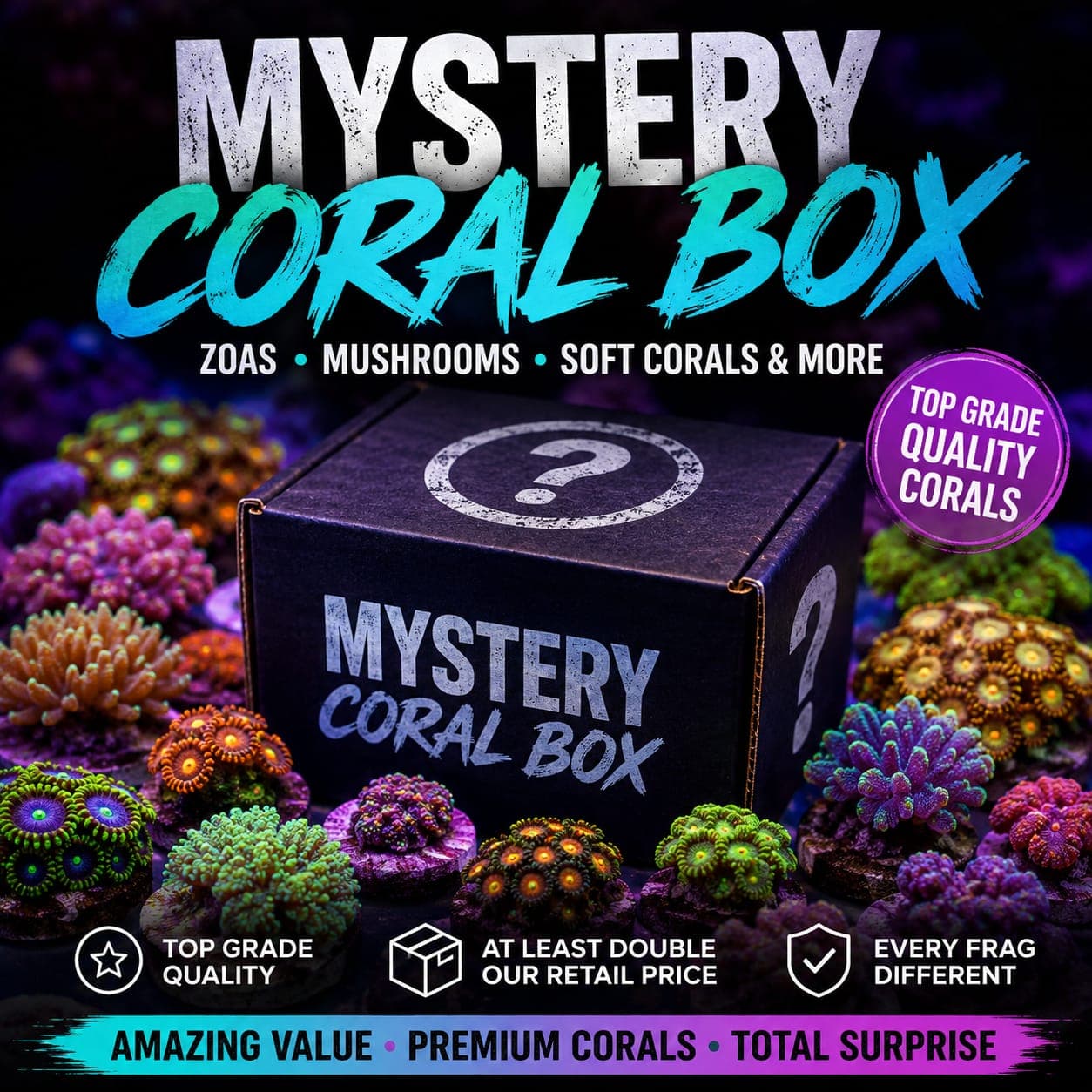 Coral Mystery Box £25